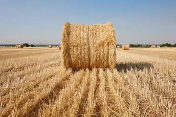 Agriculture filed with round hay bales after wheat harvest