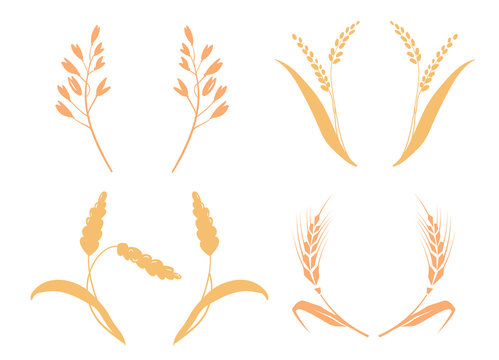 whole bread grains or field cereal nutritious rye grained agriculture products ear. Symbols for logo design Wheat. Agriculture, corn, barley, stalks, organic plants, bread, food natural harvest
