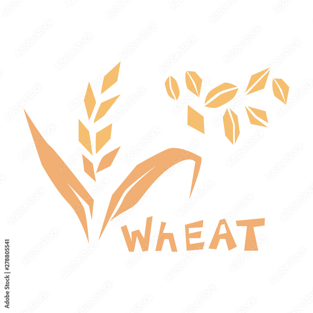 Wall mural Vector illustration of cereal grains. Wheat or barley ear.