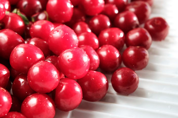 Close up of pile of ripe cherries with stalks and leaves. Large collection of fresh red cherries. Ripe cherries background.