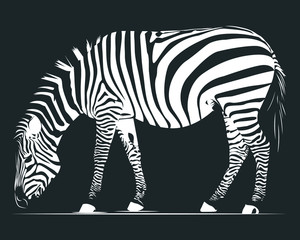 Zebra black white icon siluhoette