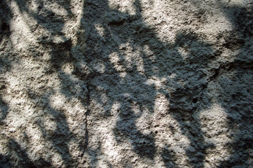 old buildings painted with shabby moss-covered walls crumble from time