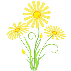 Garden bouquet of yellow flowers marigolds in vector format, Isolated.