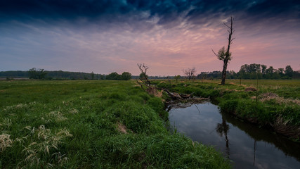 OLYMPUS DIGITAL CAMERA © Jerzy