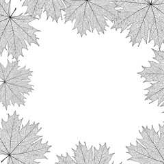 Beautiful background with leaves and space for text. Vector illustration. EPS 10.