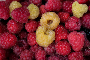 Raspberries