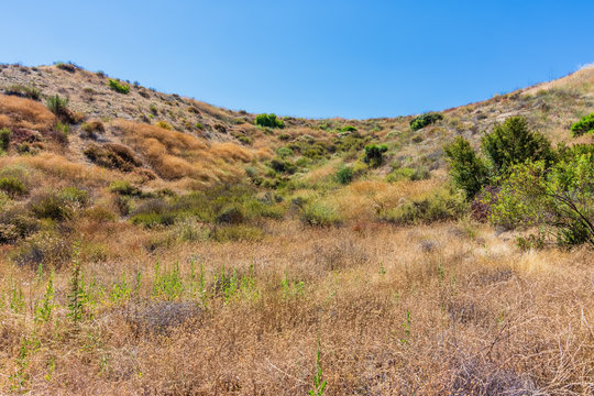 dry chaparral landscape in the mountains