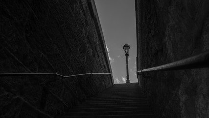 OLYMPUS DIGITAL CAMERA © Jerzy