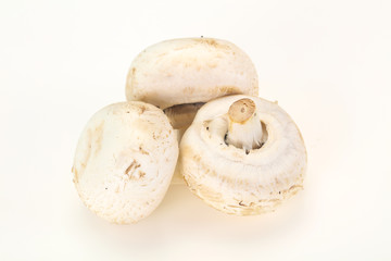Raw Champignon heap for cooking