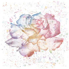 Beautiful Rose flower with watercolor drops. Vector illustration. EPS 10