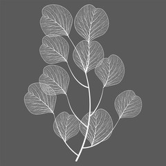 Branch with leaves isolated. Vector illustration.