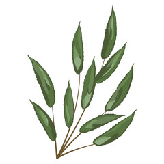 Art watercolor natural  leaves elements. Vector illustration.