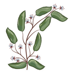 Art watercolor natural  leaves elements. Vector illustration.