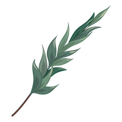 Art watercolor natural  leaves elements. Vector illustration.