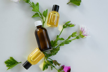 Bottles with geranium essential oil. Herbal cosmetic treatment products.