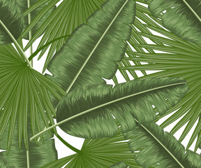 Seamless pattern with tropical leaf palm. Watercolor.  Vector illustration. EPS 10.