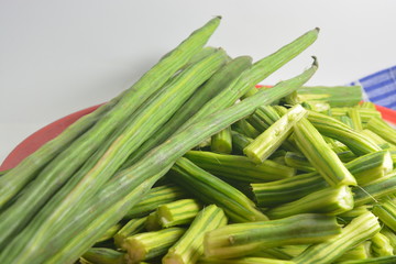 green moringa oleifera is a plant or called drumstick is the miracle  tree 