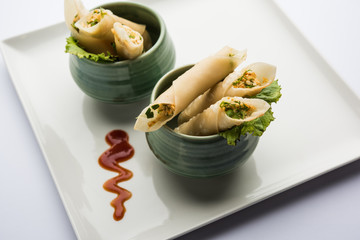 Paneer chilli cigar are crispy rolls stuffed with paneer which is an interesting starter for any party. served with tomato ketchup. selective focus