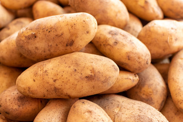 Potatoes on market, new harvest of potatoes vegetables close up