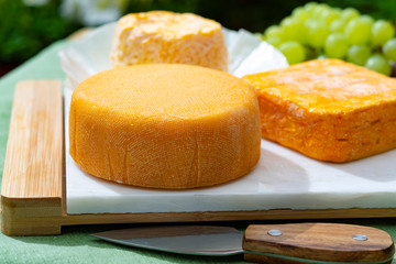 French cheeses collection, Riche de Saveurs, Langres and Le peche des bons peres cheeses served on white marble plate outdoor in green garden
