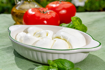 Twisted to form a plait treccia mozzarella Italian soft cheese served with fresh basil and tomatoes