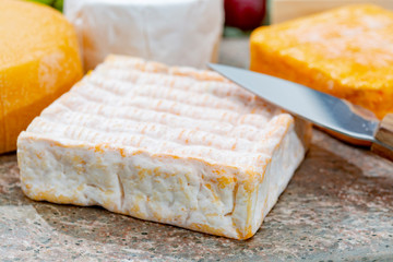 French cheeses collection, yellow Vieux Pane cheese with white mold served on marble plate outdoor in green garden