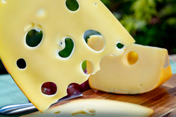 Dutch Maasdam hard cheese with holes, piece and sliced, served outdoor in green garden