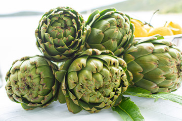 Obraz premium Bunch of fresh raw artichokes heads from artichoke plantation in Argolida, Greece ready to cook with lemon