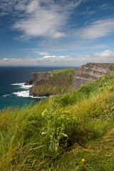Fototapeta na wymiar View on the ClView on the Cliffs of Moher in Irelandiffs of Moher in Ireland