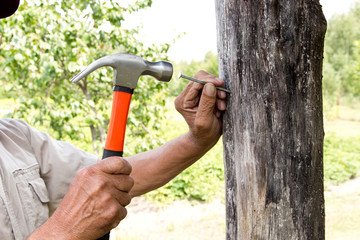 To hammer a nail with a hammer. Older worker carpenter
