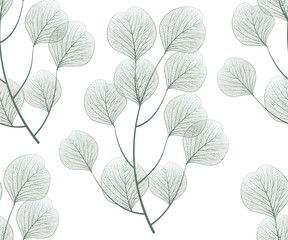 Seamless pattern with eucalyptus leaves.Vector illustration. - 278814351