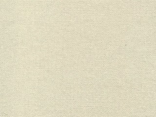 texture of paper or fabric