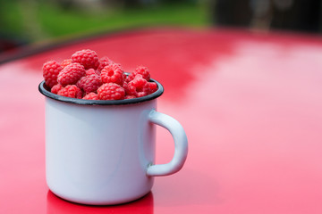 ripe raspberries in a metal mug. the summer harvest of berries. space for text.