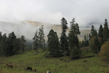 landscape in the mountains