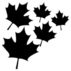 pattern of leafs maple canada