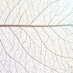 Background texture leaf. Vector illustration.