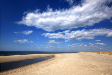 Fototapeta na wymiar Sandy beach on the Baltic Sea on the Curonian Spit in Lithuania.