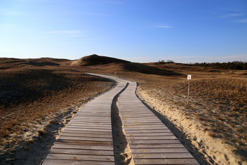 Boardwalk on a sand dune in the Naglu Reserve on the Curonian Spit in Lithuania.