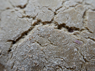 unbaked texture on rye dough bread