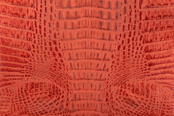 Orange crocodile leather background and texture.Matt cracked skin.Closeup.Сoncept of decorative design, wallpaper, petterns.
