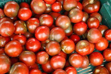 tomatoes on a black background