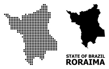 Pixel Mosaic Map of Roraima State
