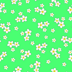 vector illustration. bunch of plumeria flowers on powder blue color background.