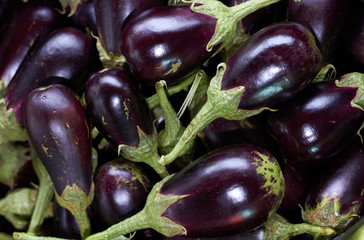 agriculculture, farming, crops, farm produce