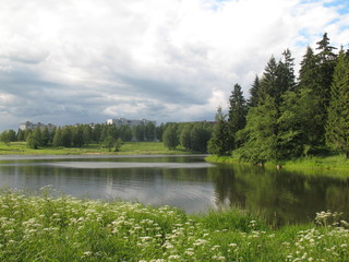 landscape with lake and forest