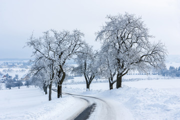 Fototapeta na wymiar Winter landscape. Slippery snow-covered road between frost-covered trees leads to the village.