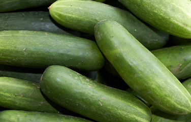 agriculculture, farming, crops, farm produce