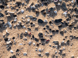 Piedras,arena,textura