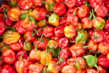 agriculculture, farming, crops, farm produce