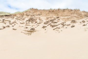 Dune with beach grass on Sylt island.